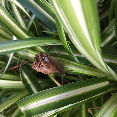 Torrefano Alojamento de Acomodação e Pequeno-almoço Portopalo Di Capo Passero
